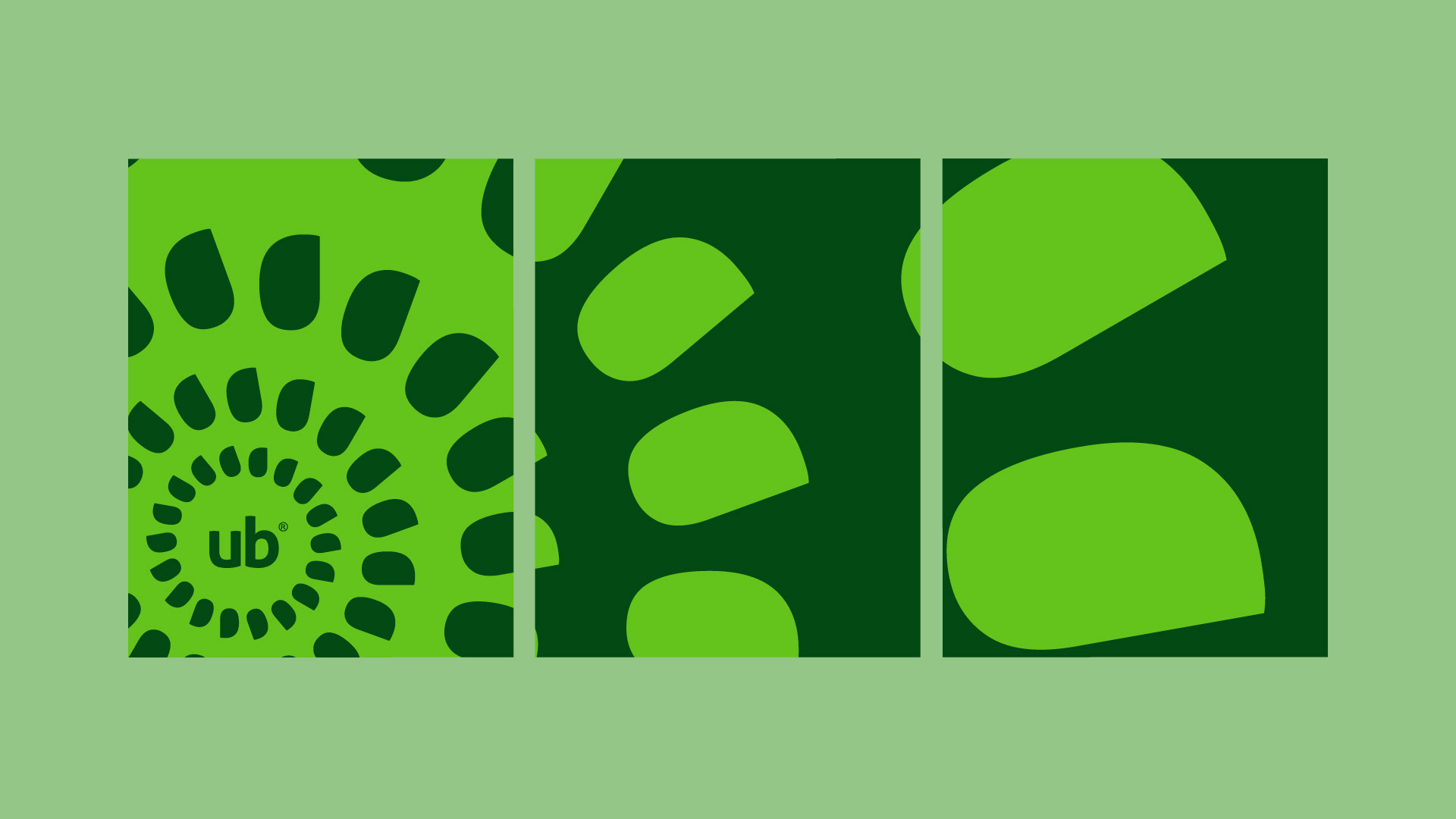 UB Brand Identity